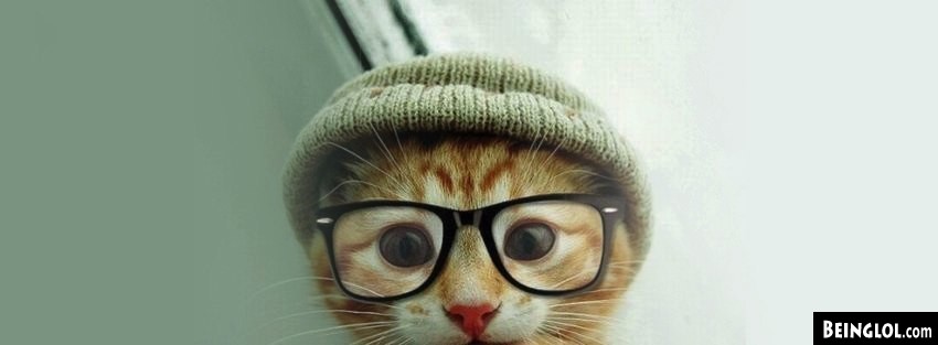 Cat Hat Glasses Facebook Covers