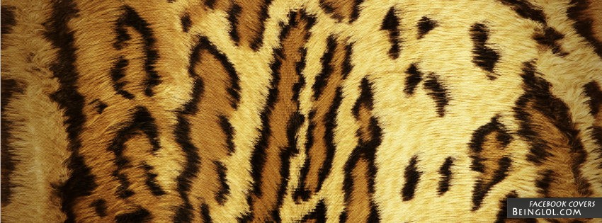 Cheetah Print Facebook Covers