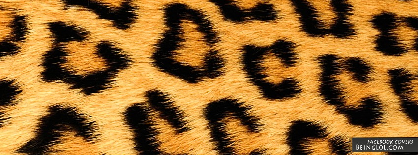 Cheetah Print Facebook Covers