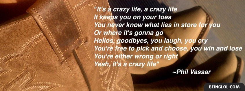 Crazy Life Lyrics by Phil Vassar