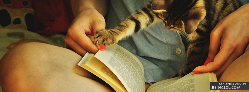 Cute Cat Reading Facebook Covers