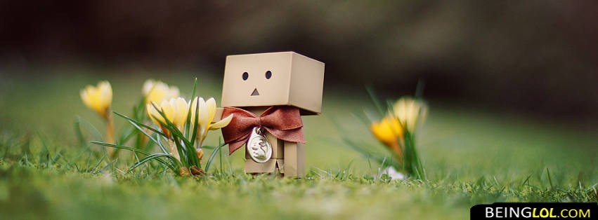 Danbo with Flower