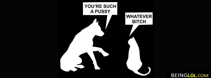 Dog And Cat Funny Cover Facebook Covers