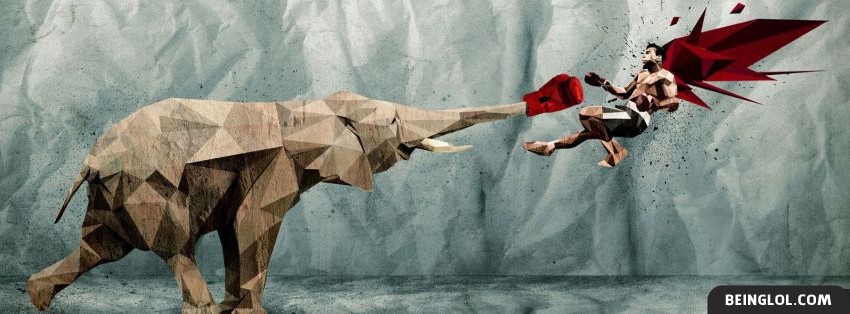 Elephant Punch Facebook Covers