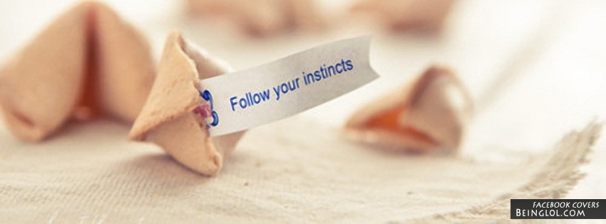 Follow Your Instincts Facebook Covers