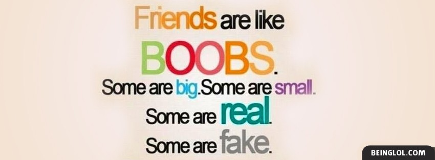 Friends Are Like Boobs Facebook Covers