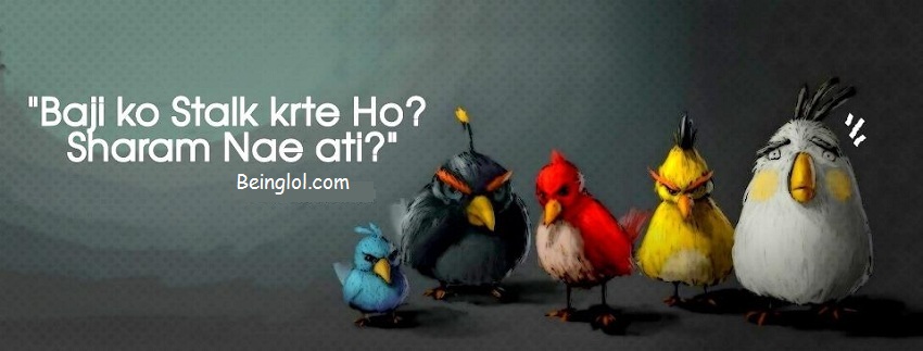 Funny Urdu Angry Birds