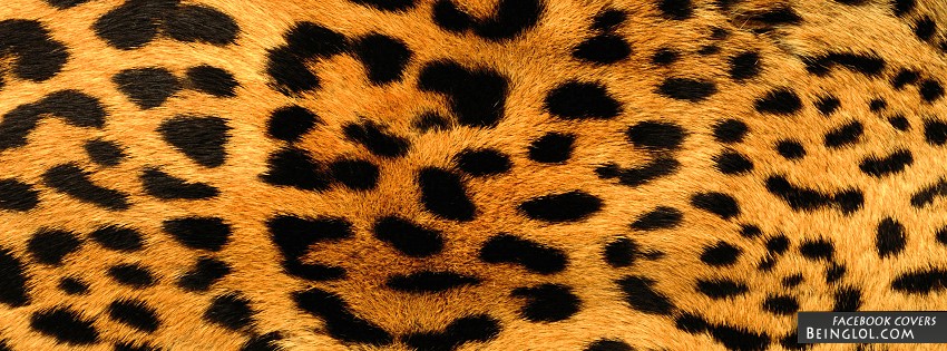 Leopard Print Facebook Covers