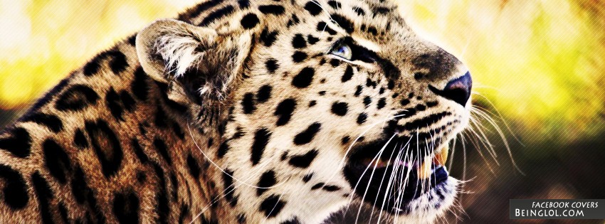 Leopard Facebook Covers