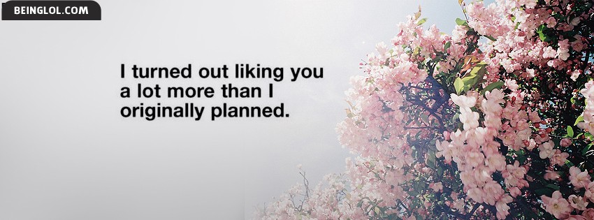 Liking You More Than I Planned Facebook Covers
