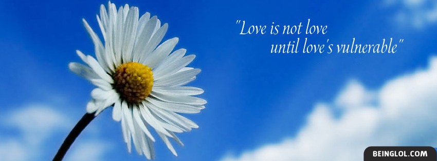 Love Is Not Love Facebook Covers
