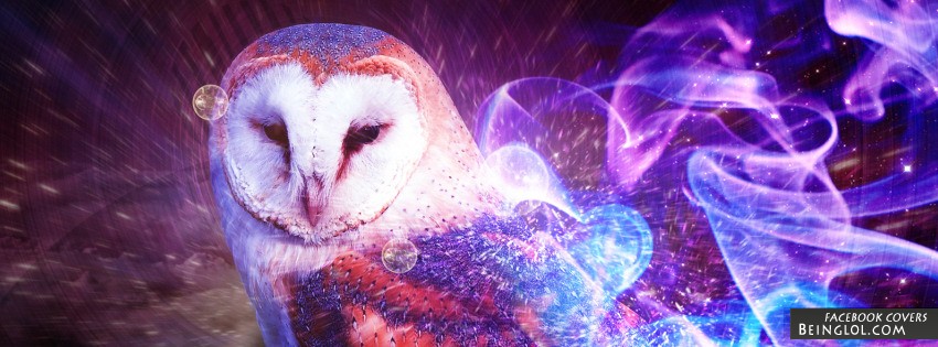Owl Abstract Art Facebook Covers