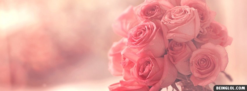 Pink Roses Facebook Covers