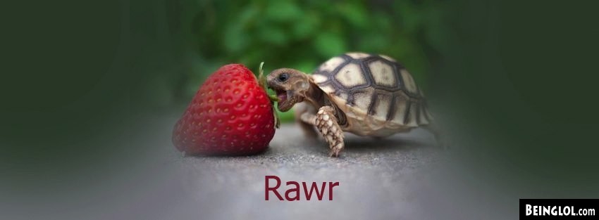 Rawr Turtle Facebook Covers