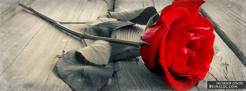 Red Rose Facebook Covers