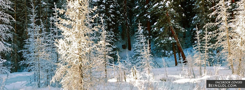 Snowy Forest Facebook Covers