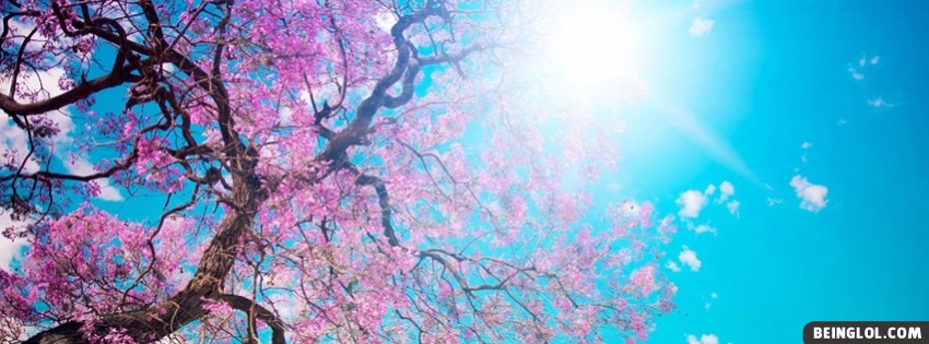 Spring Sunshine Facebook Covers