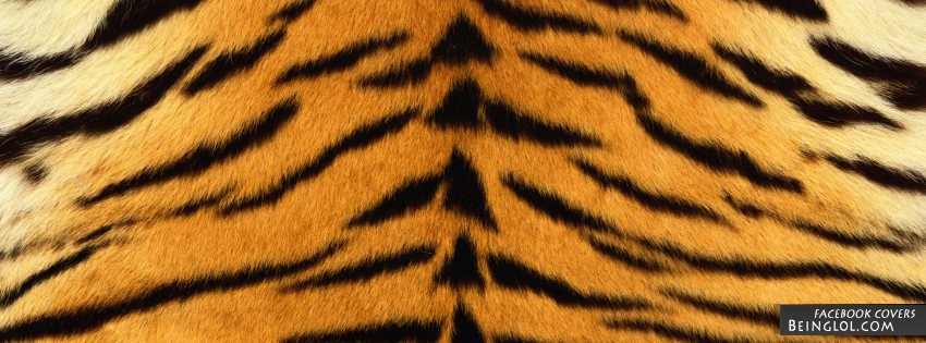 Tiger Print Facebook Covers