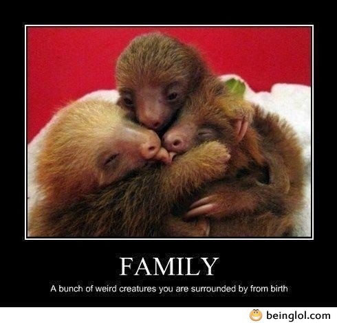 Family – Funny Definition