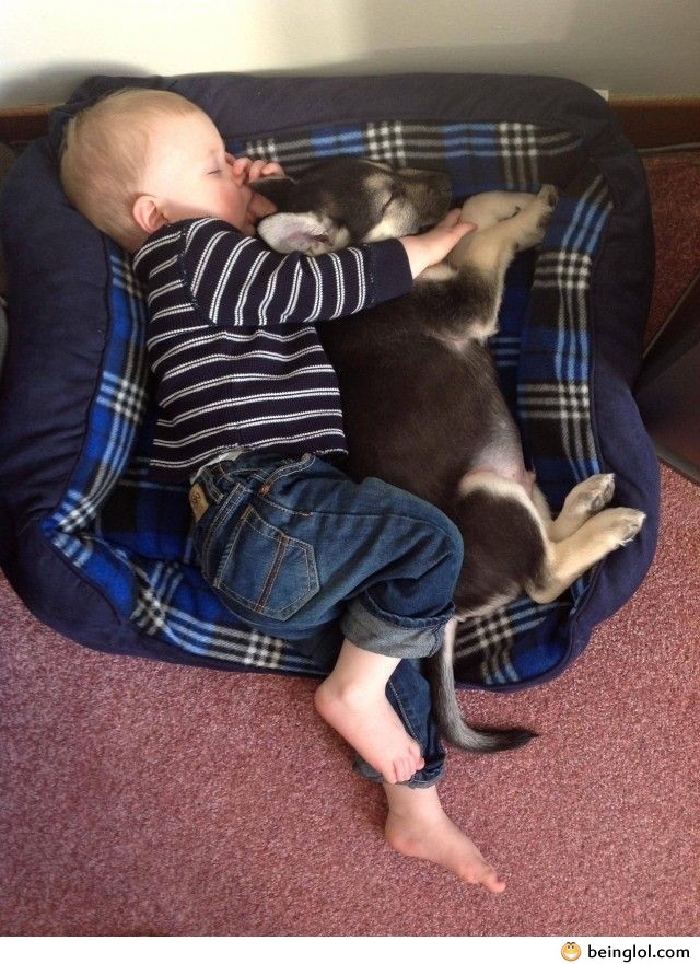 My Son and His Puppy, Friends For Life