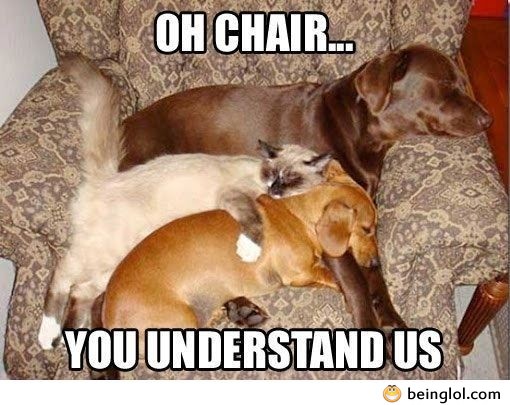 Oh Comfy Chair…