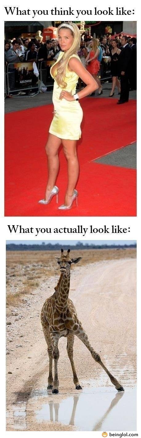 What Girls Think They Look Like In Heels