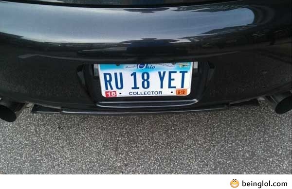  17 Just Your Everyday License Plate