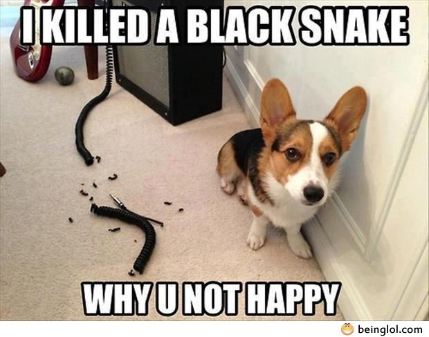 He Just Killed the Black Snake