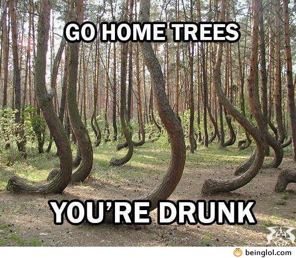 Go Home Trees!