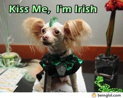 Kiss Me, I’m Irish