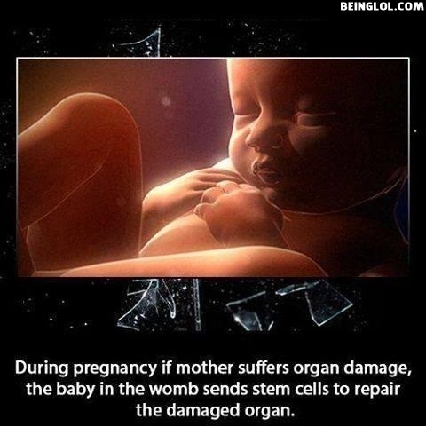Did You Know That During Pregnancy If Mother Suffers Organ Damage....