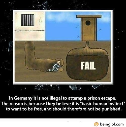 Did You Know That In Germany It’s Not Illegal to Atempt a Prison Escape And...