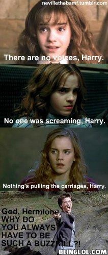 Hermione Why Do You Always…………