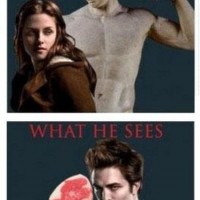 What We See In Twilight Movie?