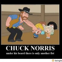 Another Chuck Norris Joke