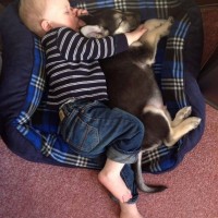 My Son And His Puppy, Friends For Life