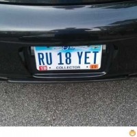  17 Just Your Everyday License Plate