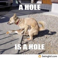 A Hole Is A Hole