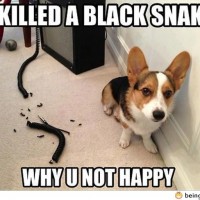 He Just Killed The Black Snake