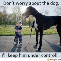 Don’t Worry About The Dog