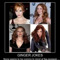Ginger Jokes !