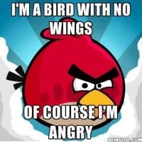 The Reason Why The Angry Birds Are Always Angry!