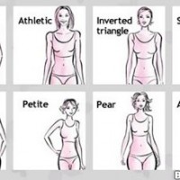 Female Body Types ...