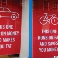 Car Or Bike - Your Choice !