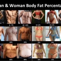 Man & Woman Body Fat Percentage