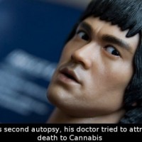 Did You Know That During Bruce Lee’s Second Autopsy His Doctor Tried To Attribute His Cause Of Death To…