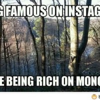 Funny Saying About Instagram Users