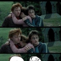 Darn You Harry! Xd