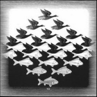 How many fishes are there in the picture?
