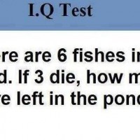 How many Fish left in the pond?